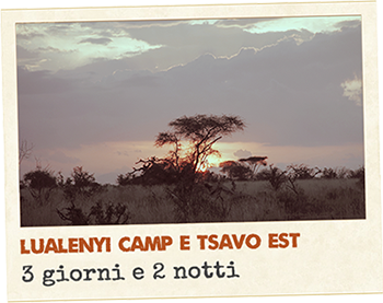 Lualeny Camp e Tsavo East - 3 giorni e 2 notti